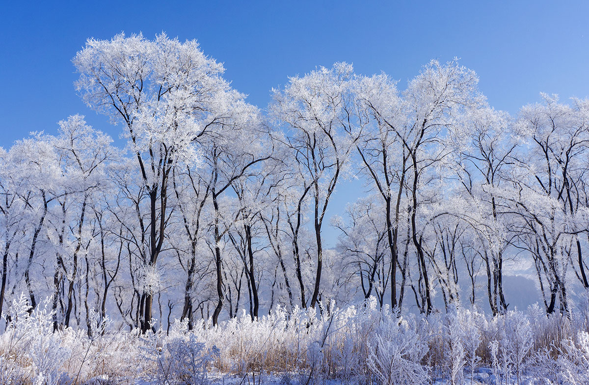 冬天雪景图片素材_免费下载_jpg图片格式_VRF高清图片500442487_摄图网