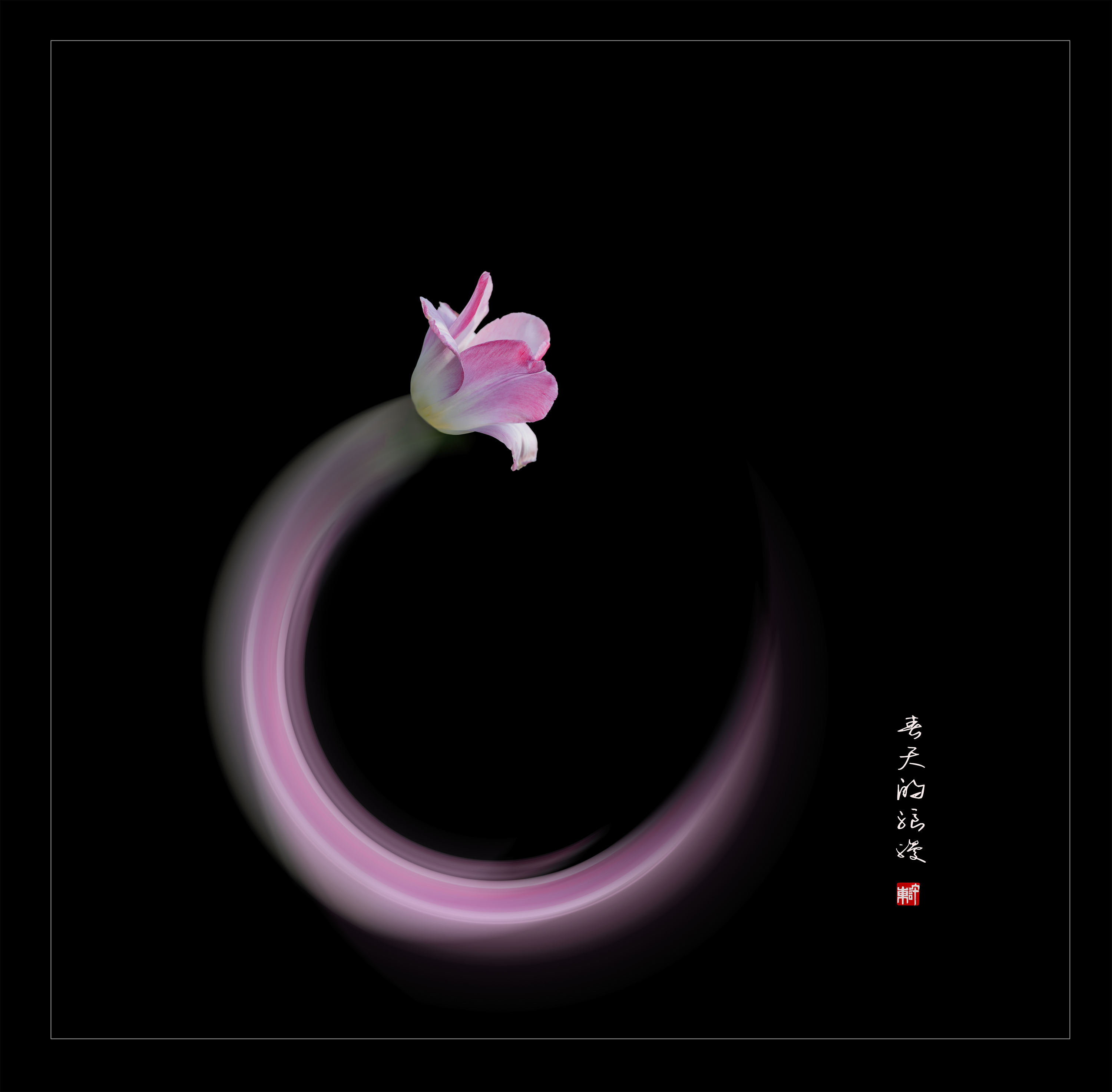 春天的浪漫_0