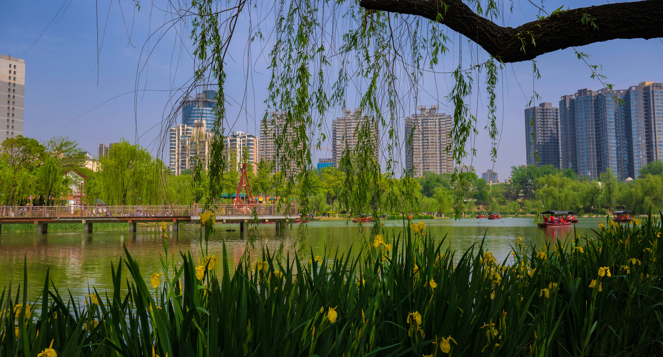 我看见的风景4_0
