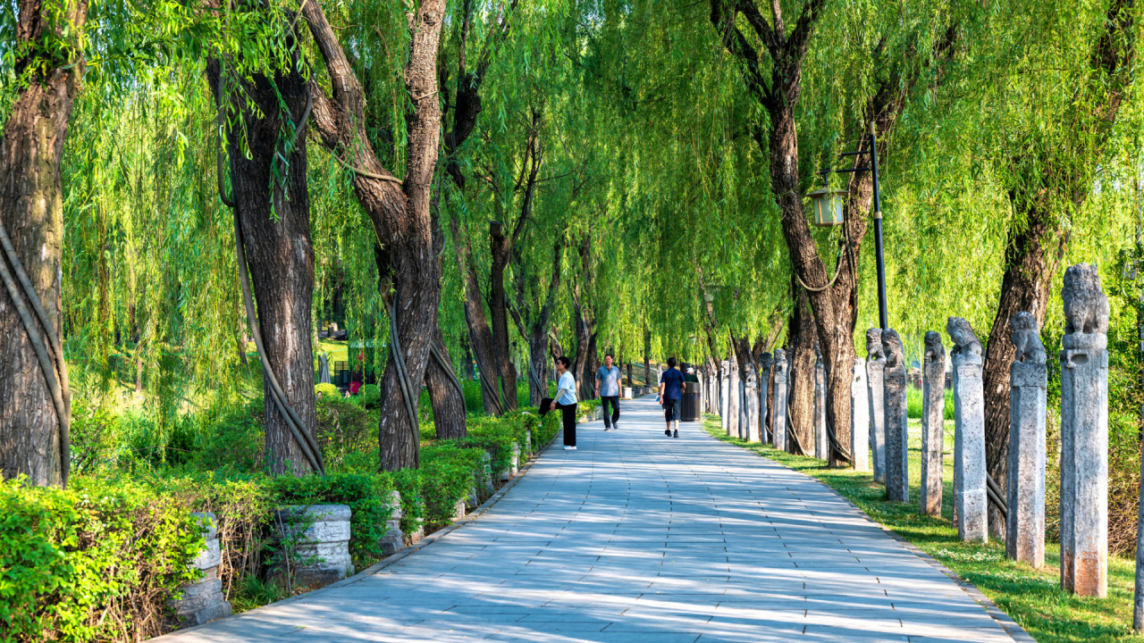 我看见的风景 5_0