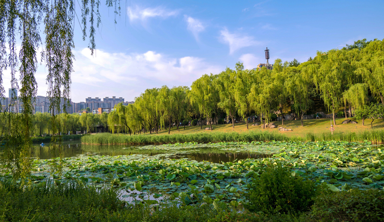 我看见的风景 6_0