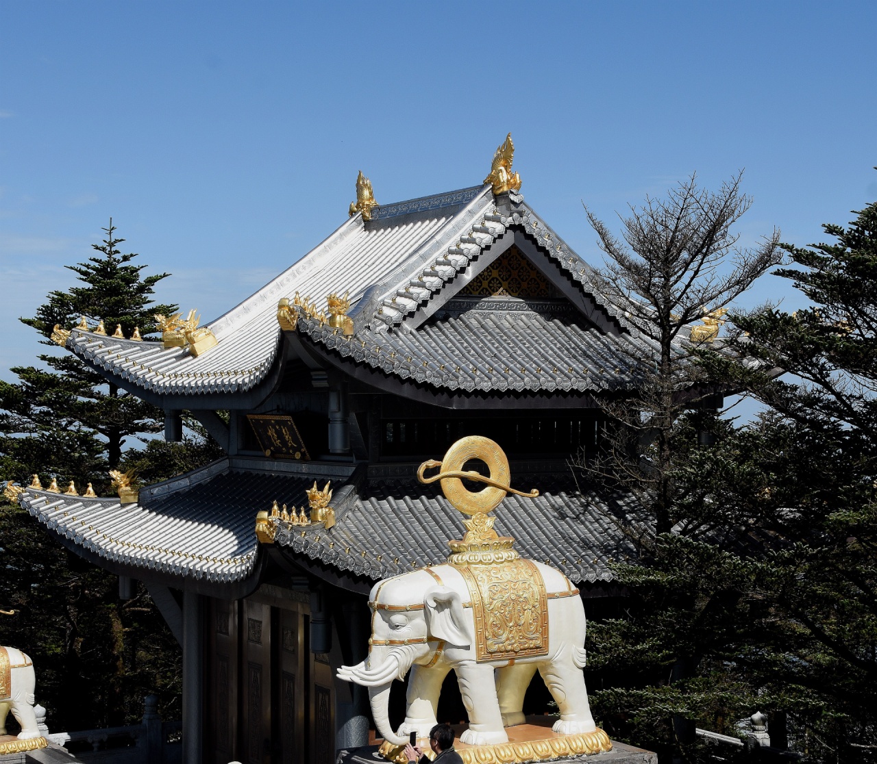 四川---峨眉山5_0