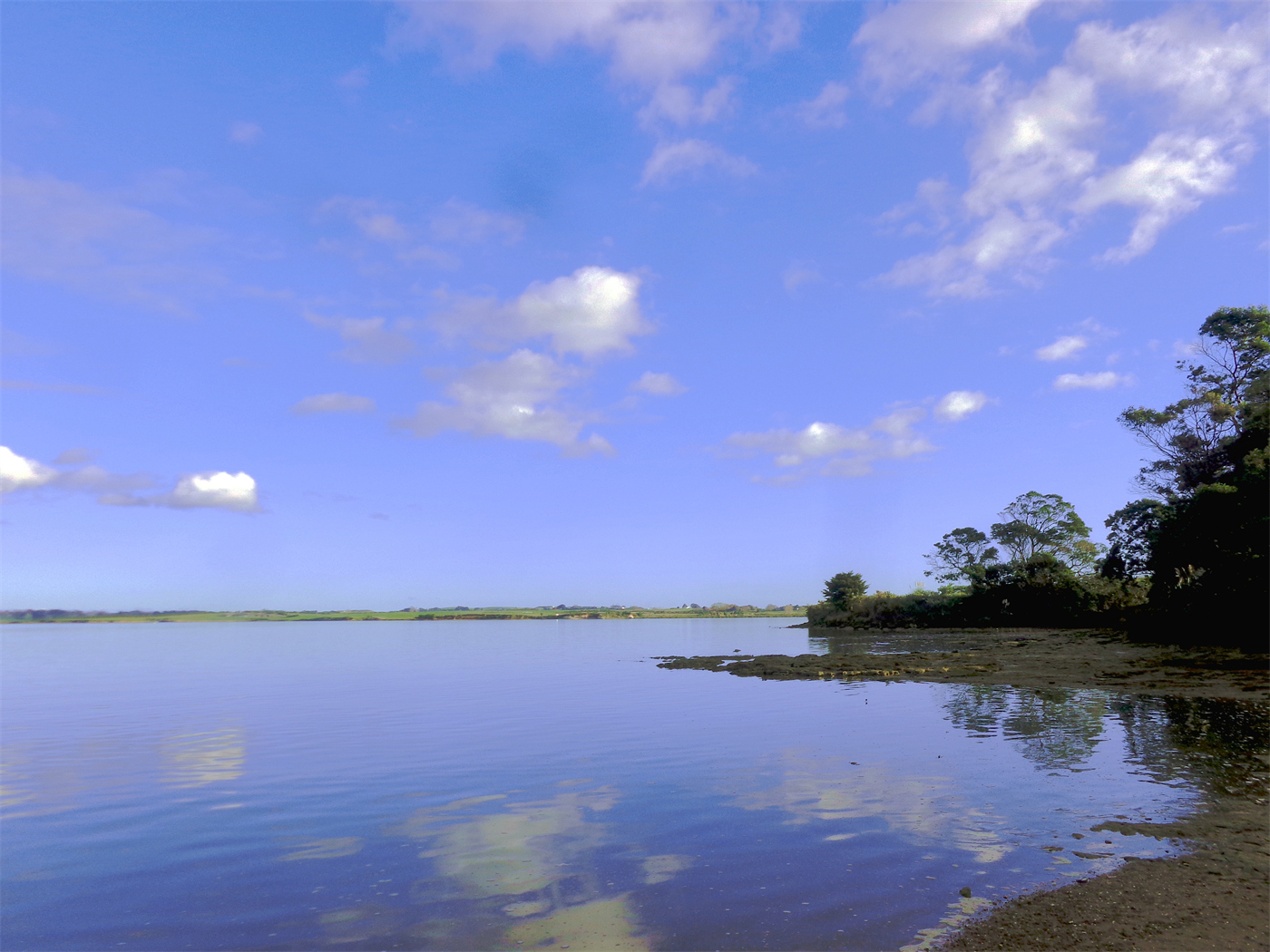 奥克兰海湾小镇风景_2