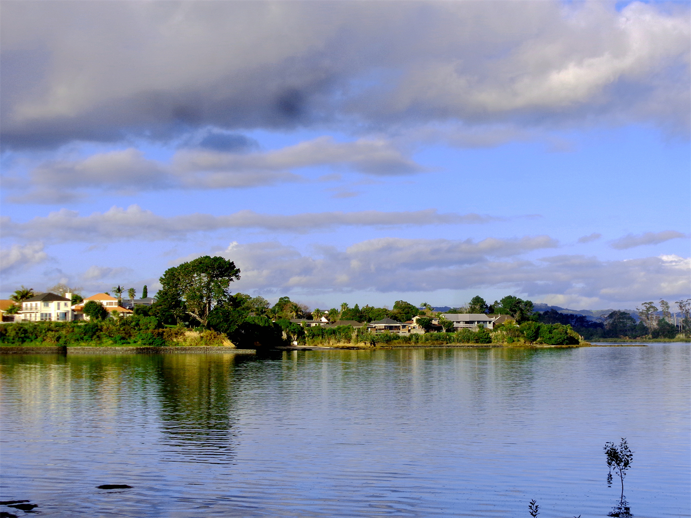 奥克兰海湾小镇风景_1