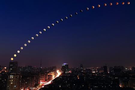 腐烂的仙人球 作品