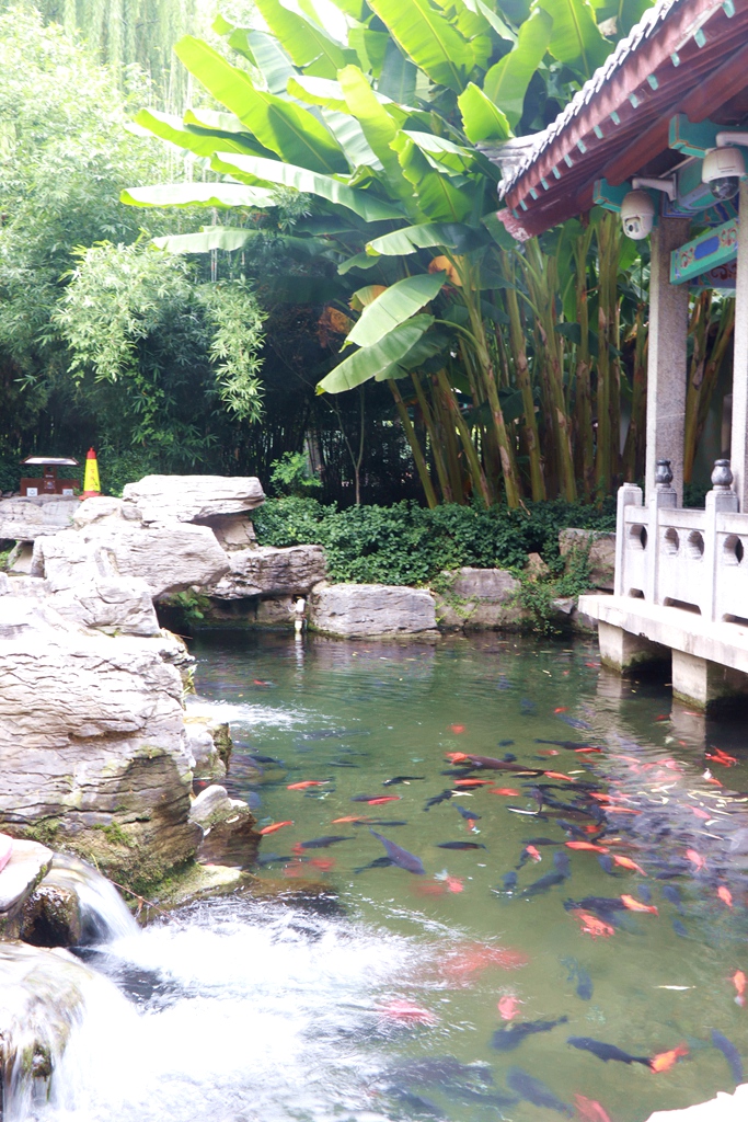近水楼台_4