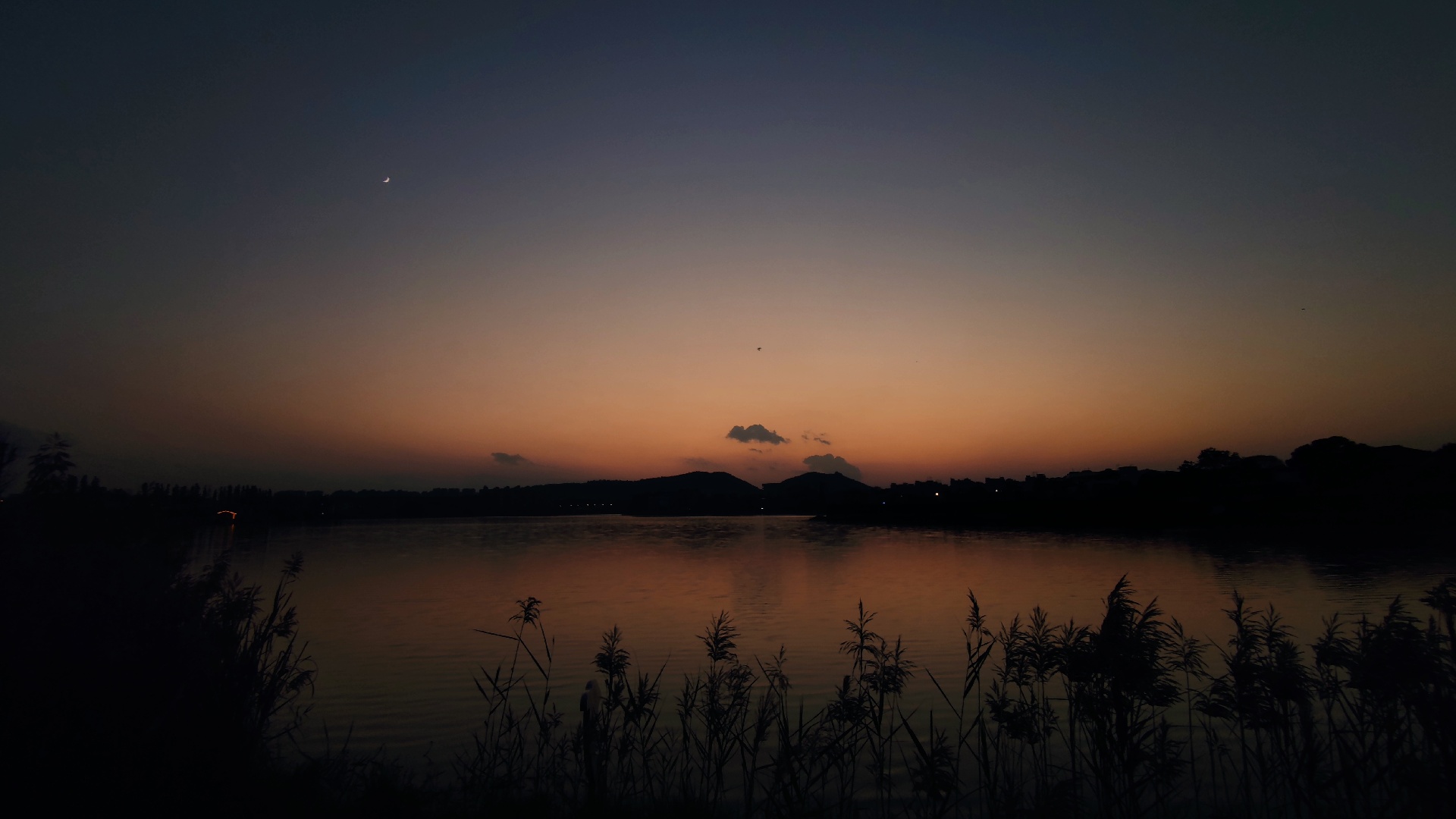 岳麓山后湖魅影_8